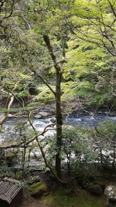 20170425 095755 169x300 - Listy z podróży - Hakone i Tonosawa