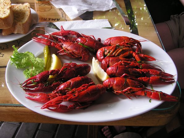 boiled crayfish 749555 595x446 - Wokół stołu - jak to ugryźć - raki, owoce morza, kawior