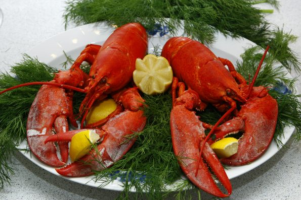 lobster 1608440 595x397 - Wokół stołu - jak to ugryźć - raki, owoce morza, kawior